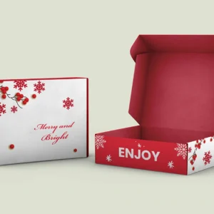 Christmas Mailer Box