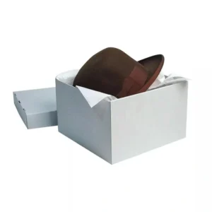 Hat Mailer Box