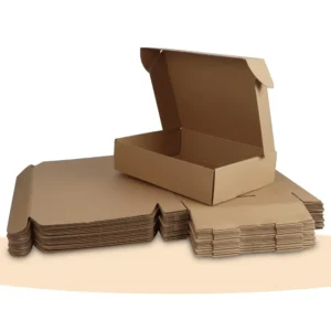 Shipping Mailer Box