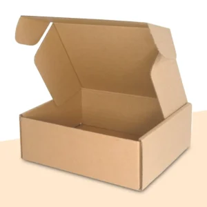 Shipping Mailer Box