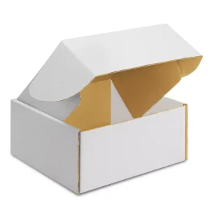 Tab Lock Mailer Boxes