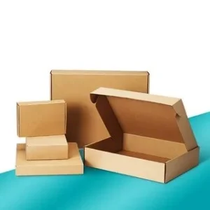 Shipping Mailer Box
